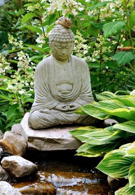 Blue Sky Studio Gallery — Chippy on Budda