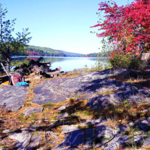 Linda at work, en plein air